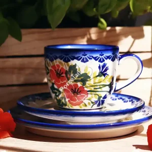 Ograniczona ilość Porcelana i wyposażenie kuchni – sklep internetowy AP-POL