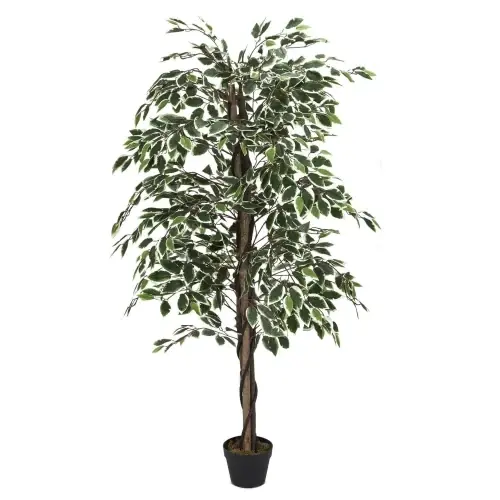 Fernity Sztuczna roślina Benjamin 170 cm Oferta