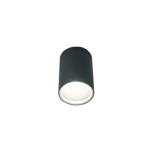 Oferta limitowana Lampa sufitowa Plafon 1x60W Grafitowy NOWODVORSKI