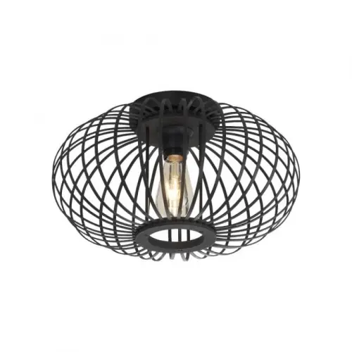 Ostatnia szansa LAMPA SUFITOWA RACOON 11410-18 LEUCHTEN 11410-18