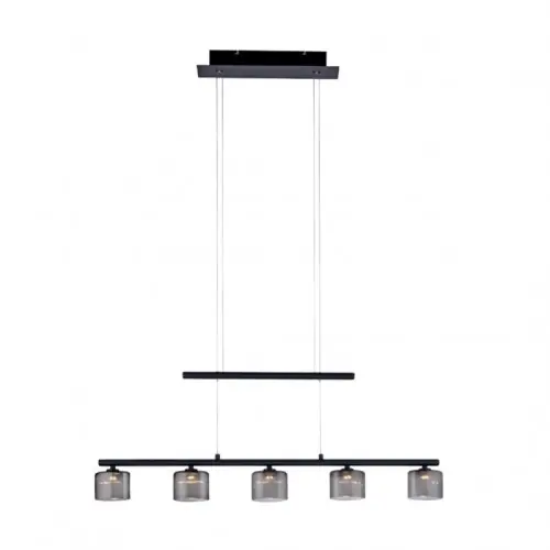 Lampa wisząca Paul Neuhaus HYDRA 2209-18 3000K 2209-18 Cena promocyjna
