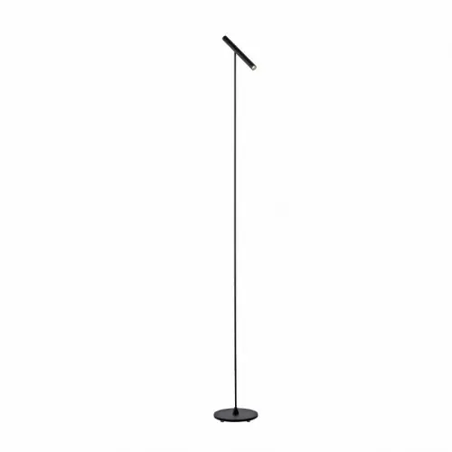Oferta limitowana Paul Neuhaus - Lampa podłogowa LED 8W 230V 3000K 405-18