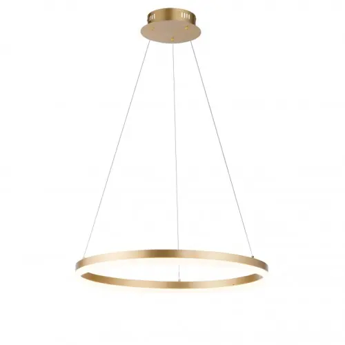 Wyjątkowa oferta Paul Neuhaus 2382-60 - Lampa wisząca LED 44W 3000K 230V