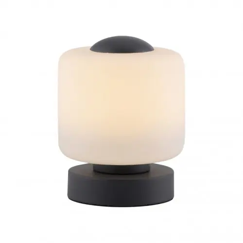 Taniej Paul Neuhaus 4037-13 - Lampa stołowa LED 7W 230V 3000K