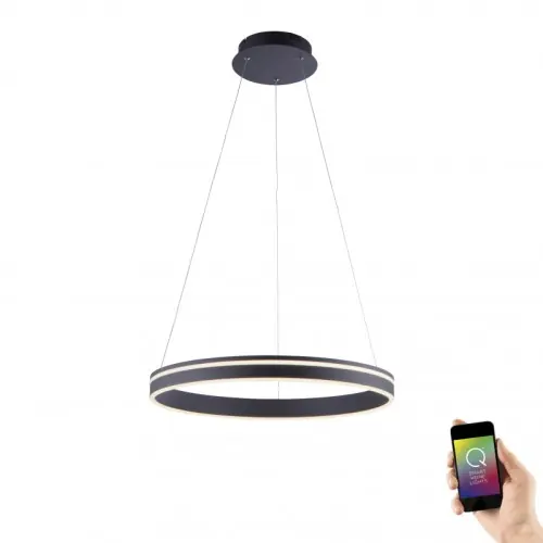 Nie przegap Paul Neuhaus 8411-13 - Lampa wisząca LED 44W 230V, regulacja barwy