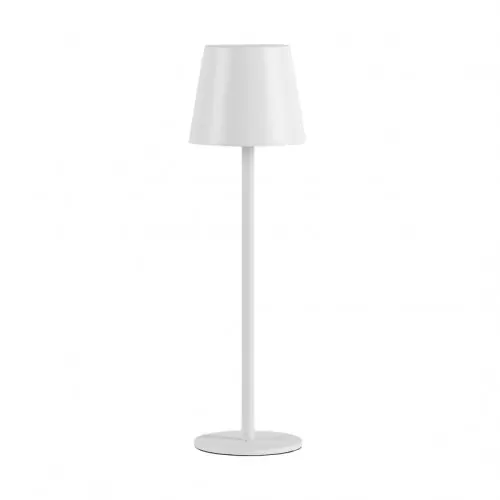 Oferta limitowana Paul Neuhaus EURIA 003902-026375