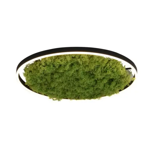 Zamów teraz Paul Neuhaus GREEN RITUS 003902-026996
