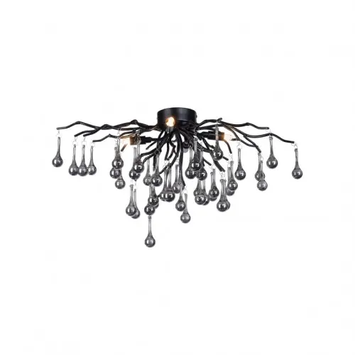 Paul Neuhaus ICICLE 003902-027042 Darmowy zwrot