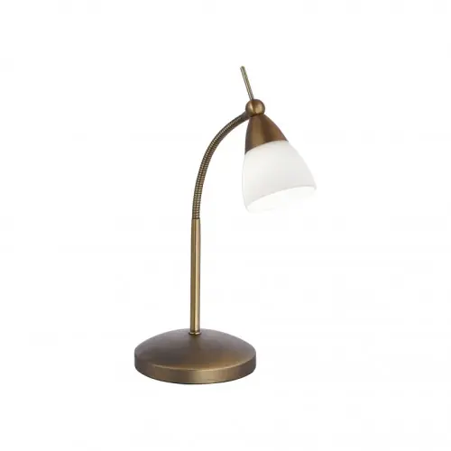 Zamów teraz Paul Neuhaus Lampa stołowa LED 3W 230V 3000K 4001-11