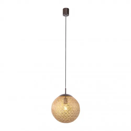 Wysoka jakość Paul Neuhaus Lampa wisząca E27/60W/230V 2420-48
