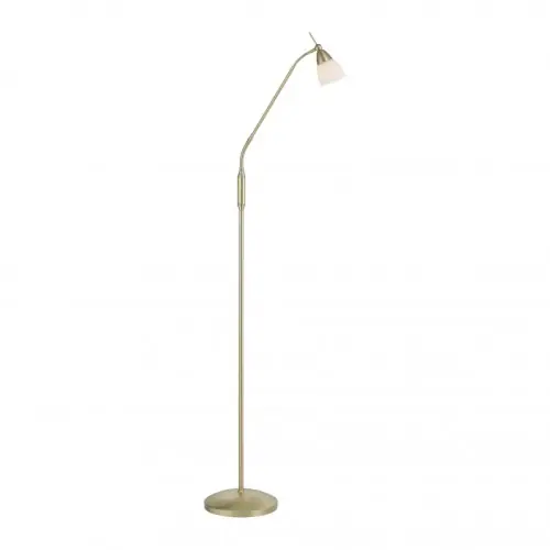 Sprawdź teraz Paul Neuhaus LED Lampa podłogowa 02.06.2025W/230V 3000K 400-60