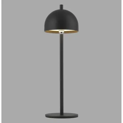Szybka dostawa Paul Neuhaus SW BELLIS 003902-035427