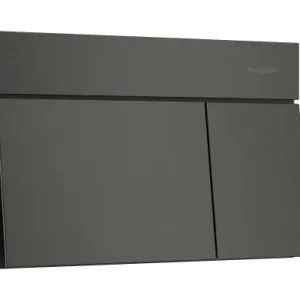 Hansgrohe iFrame Element E Przycisk spłukujący 66003340 Promocja