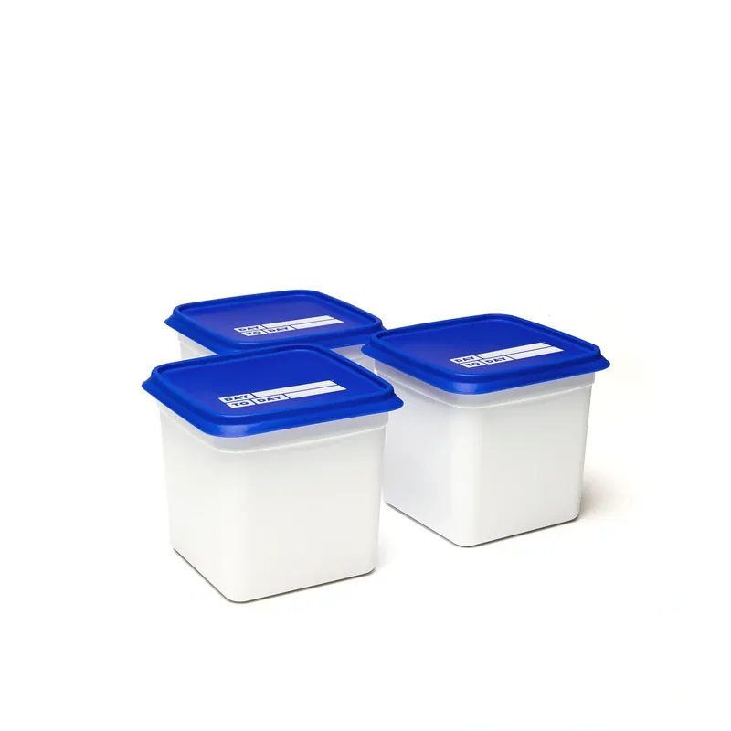 Dostępne od ręki Pojemniki do zamrażarki Alaska 3x1l - Amuse