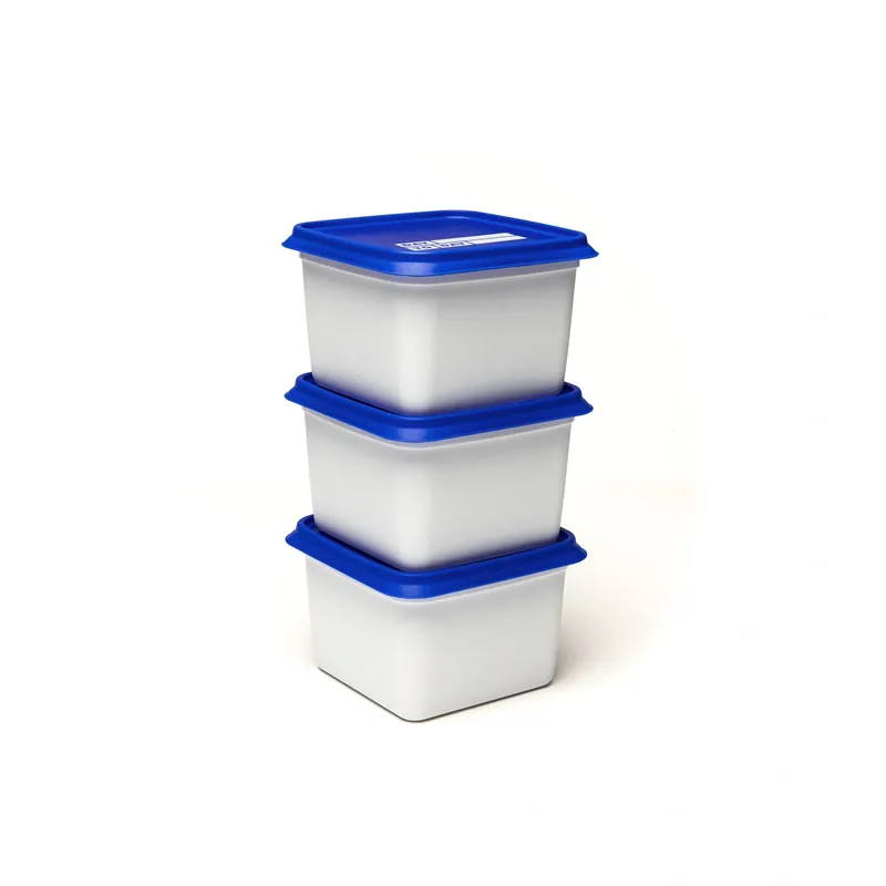 Pojemniki Do Zamrażarki Alaska 3x750ml - Amuse Tylko do końca tygodnia