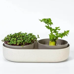 Ostatnia szansa Plastia Microgreens Kiełkownica + Pojemnik Z Filtrem 30.5 X 16 Cm - Beżowy
