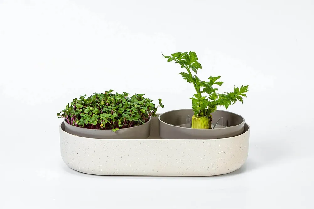 Ostatnia szansa Plastia Microgreens Kiełkownica + Pojemnik Z Filtrem 30.5 X 16 Cm - Beżowy