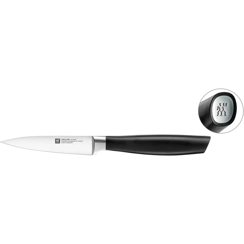 Wybór klientów Zwilling All * Star Nóż do warzyw i owoców 10 cm, srebrny
